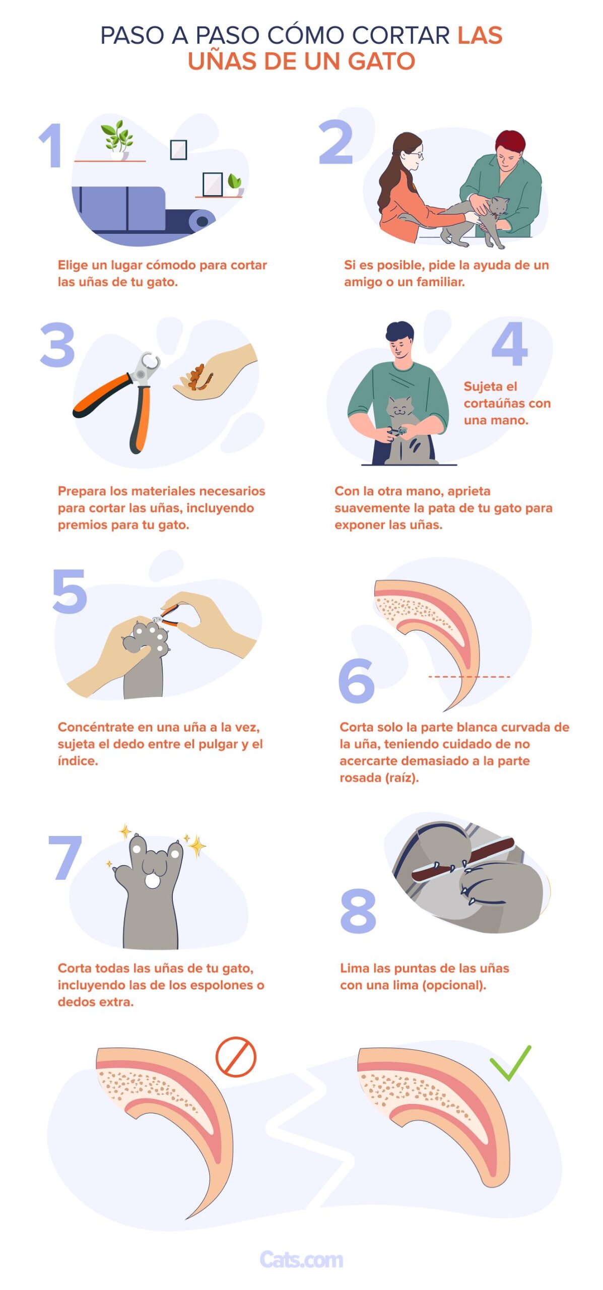 Aquí tienes un desglose paso a paso de cómo cortar las uñas de un gato