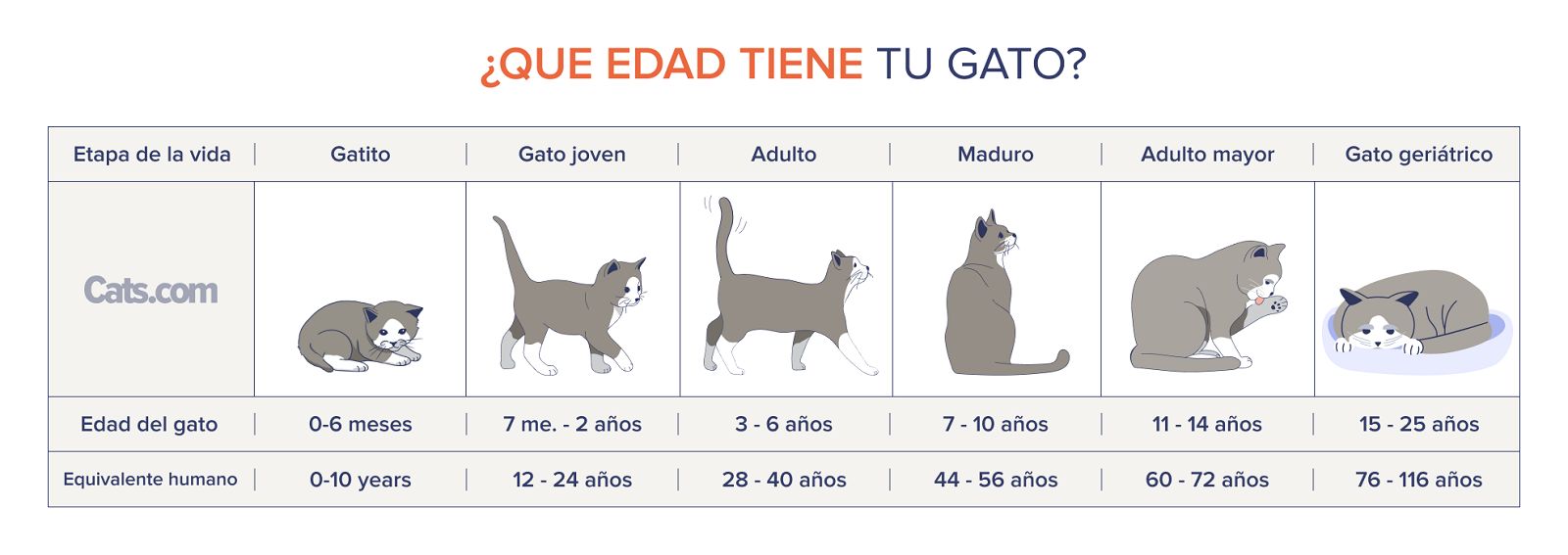 Tabla de cálculo de años de vida de un gato