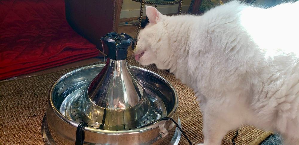 Bebedero PetSafe Drinkwell 360 de acero inoxidable para gatos y perros