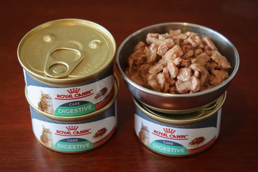 Comida enlatada para gatos Royal Canin Digest Sensitive Chunks en salsa
