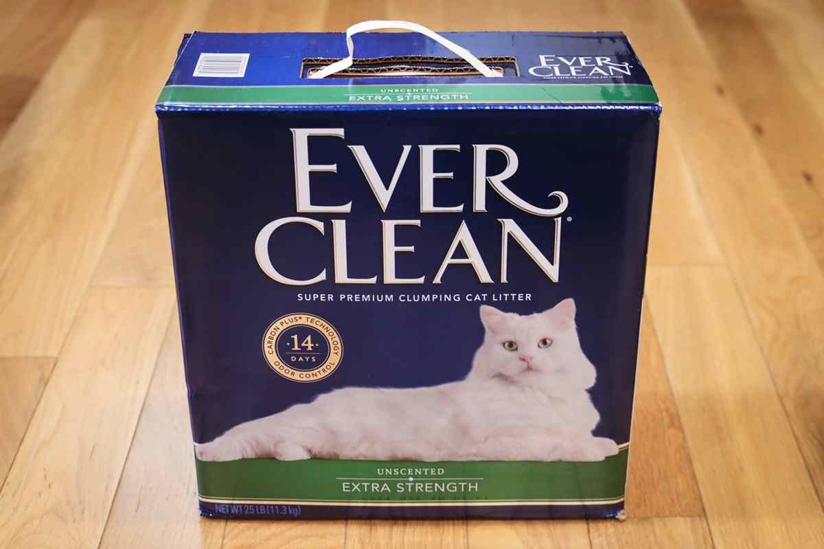 Ever Clean Extra Fuerte