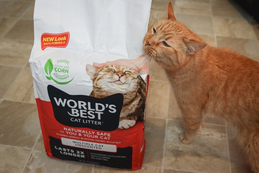 La mejor arena para gatos del mundo