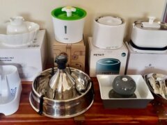 Las 6 mejores fuentes de agua para gatos