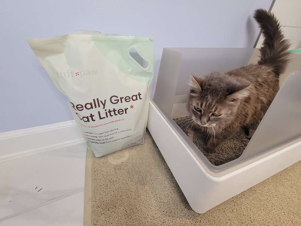Tuft & Arena para gatos Paw ¡Really Great!